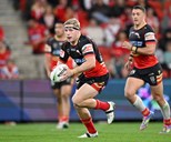 Return and earn your spot: Dolphins seek to solve forward puzzle